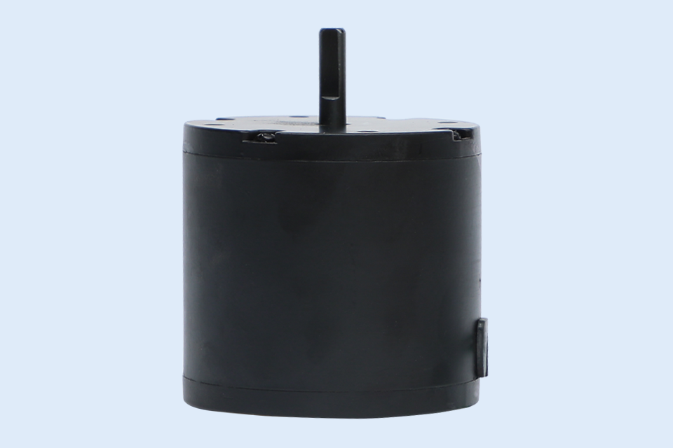 45W small motor